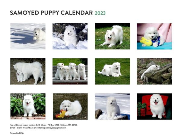 The back cover of the Samoyed 2023 Puppy Calendar