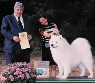 Samoyed with Carrie Parma-Collier taking certificate